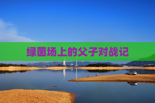 绿茵场上的父子对战记