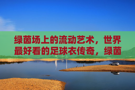 绿茵场上的流动艺术，世界最好看的足球衣传奇，绿茵流动艺术，世界最美足球衣传奇