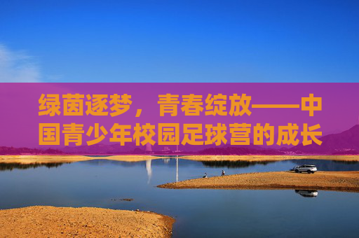 绿茵逐梦，青春绽放——中国青少年校园足球营的成长与希望，绿茵逐梦，青春绽放——中国青少年校园足球营的成长与希望