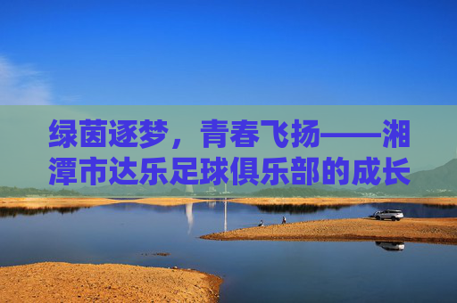 绿茵逐梦，青春飞扬——湘潭市达乐足球俱乐部的成长与担当，湘潭市达乐足球俱乐部，绿茵逐梦的成长与担当