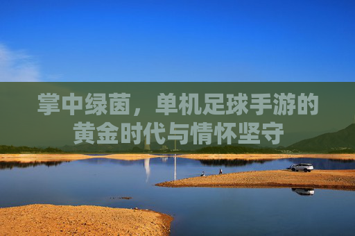 掌中绿茵，单机足球手游的黄金时代与情怀坚守