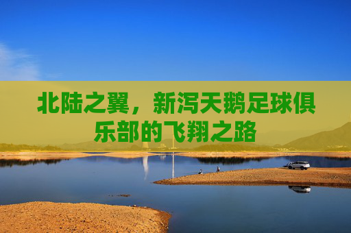 北陆之翼，新泻天鹅足球俱乐部的飞翔之路