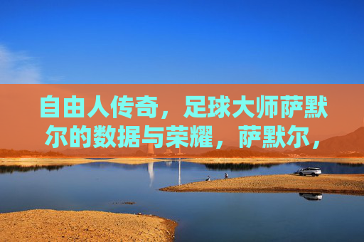 自由人传奇，足球大师萨默尔的数据与荣耀，萨默尔，自由人传奇的数据与荣耀