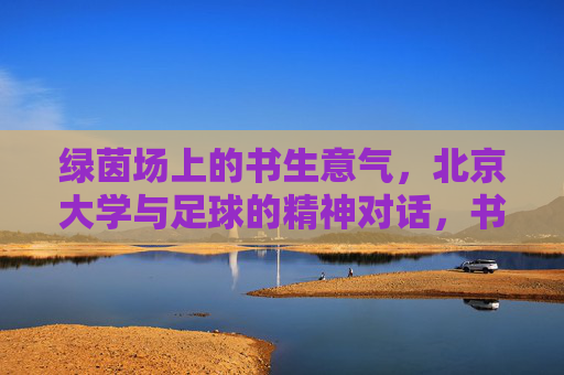 绿茵场上的书生意气，北京大学与足球的精神对话，书生意气绿茵场，北大与足球的精神对话