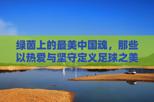 绿茵上的最美中国魂，那些以热爱与坚守定义足球之美的人，绿茵上的中国魂，热爱与坚守定义足球之美