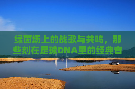 绿茵场上的战歌与共鸣，那些刻在足球DNA里的经典音乐，绿茵场战歌，足球DNA里的经典共鸣