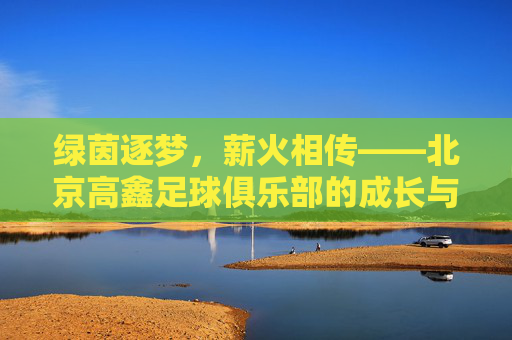 绿茵逐梦，薪火相传——北京高鑫足球俱乐部的成长与坚守，绿茵逐梦薪火传，北京高鑫足球俱乐部的成长与坚守