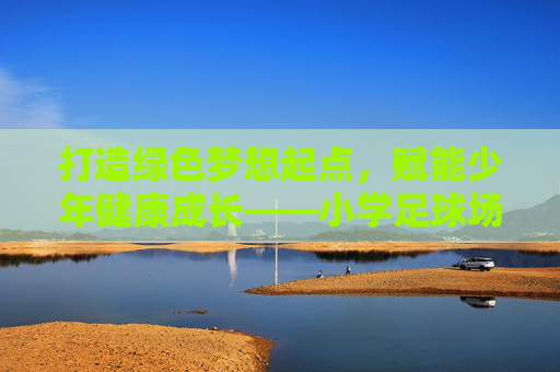 打造绿色梦想起点，赋能少年健康成长——小学足球场科学规划指南，小学足球场科学规划，绿色筑梦，赋能少年成长