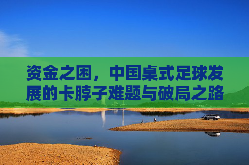 资金之困，中国桌式足球发展的卡脖子难题与破局之路，资金之困，中国桌式足球发展的卡脖子难题与破局