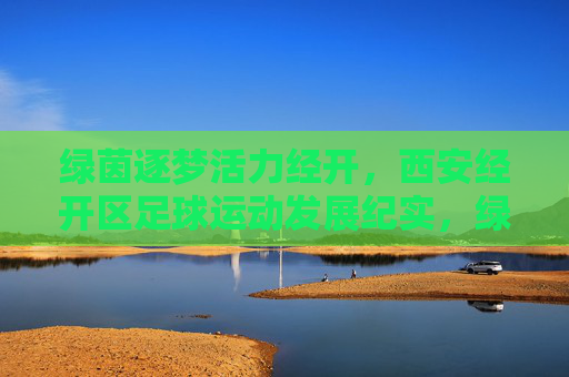 绿茵逐梦活力经开，西安经开区足球运动发展纪实，绿茵逐梦活力经开，西安经开区足球发展纪实