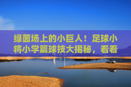 绿茵场上的小巨人！足球小将小学篇球技大揭秘，看看谁是球场MVP？绿茵小巨人！小学足球小将球技大揭秘，谁是MVP？
