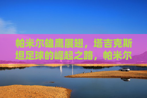 帕米尔雄鹰展翅，塔吉克斯坦足球的崛起之路，帕米尔雄鹰，塔吉克斯坦足球崛起之路