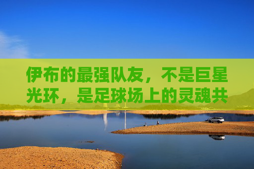 伊布的最强队友，不是巨星光环，是足球场上的灵魂共鸣，伊布最强队友，非巨星光环，是球场灵魂共鸣