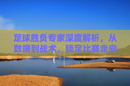 足球胜负专家深度解析，从数据到战术，锁定比赛走向的理性指南，足球胜负专家深度解析，数据战术锁定比赛走向的理性指南