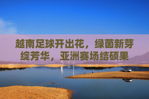 越南足球开出花，绿茵新芽绽芳华，亚洲赛场结硕果
