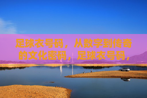 足球衣号码，从数字到传奇的文化密码，足球衣号码，从数字到传奇的文化密码
