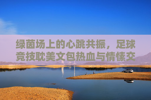 绿茵场上的心跳共振，足球竞技耽美文包热血与情愫交织，绿茵共振，足球竞技耽美心跳