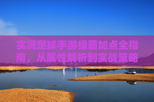 实况足球手游绿茵加点全指南，从属性解析到实战策略，打造你的梦幻阵容，实况足球手游绿茵加点全攻略，属性解析+实战策略，打造梦幻阵容