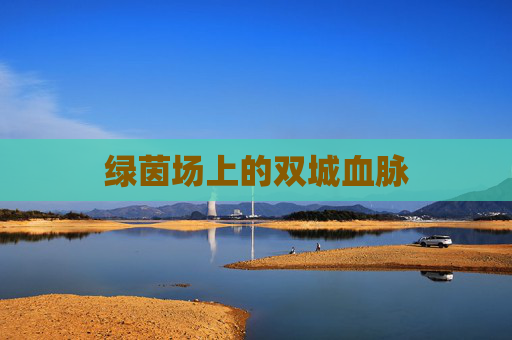绿茵场上的双城血脉