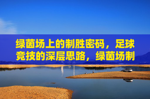 绿茵场上的制胜密码，足球竞技的深层思路，绿茵场制胜密码，足球竞技深层思路