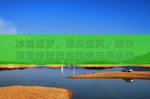 冰城逐梦，足尖生风，哈尔滨足球鞋选购指南与市场掠影，冰城逐梦足尖生风，哈尔滨足球鞋选购指南与市场掠影