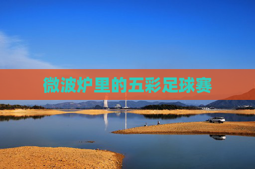 微波炉里的五彩足球赛