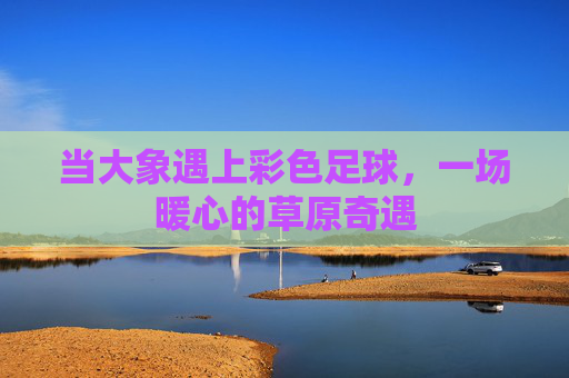当大象遇上彩色足球，一场暖心的草原奇遇