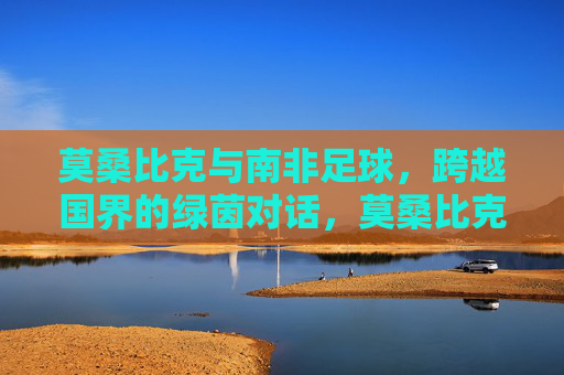 莫桑比克与南非足球，跨越国界的绿茵对话，莫桑比克与南非足球，跨越国界的绿茵对话