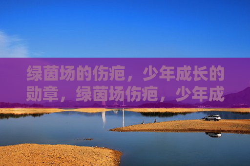 绿茵场的伤疤，少年成长的勋章，绿茵场伤疤，少年成长勋章