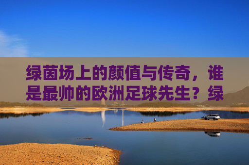 绿茵场上的颜值与传奇，谁是最帅的欧洲足球先生？绿茵场颜值传奇，谁是最帅的欧洲足球先生？