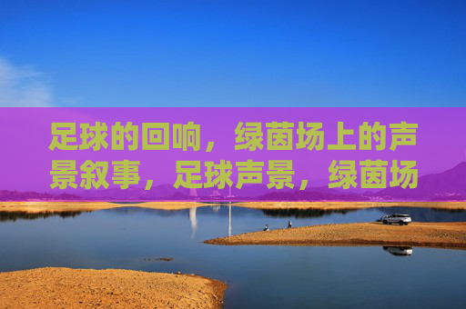 足球的回响，绿茵场上的声景叙事，足球声景，绿茵场的回响叙事