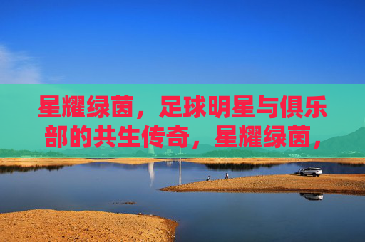 星耀绿茵，足球明星与俱乐部的共生传奇，星耀绿茵，足球明星与俱乐部的共生传奇