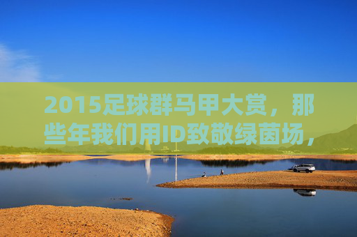 2015足球群马甲大赏，那些年我们用ID致敬绿茵场，2015足球群马甲大赏，那些ID里的绿茵致敬