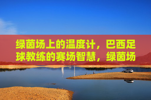 绿茵场上的温度计，巴西足球教练的赛场智慧，绿茵场温度计，巴西教练的赛场智慧