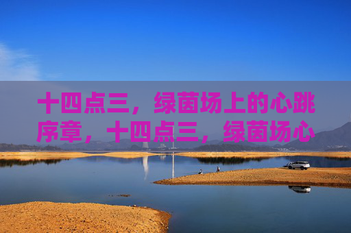 十四点三，绿茵场上的心跳序章，十四点三，绿茵场心跳序章