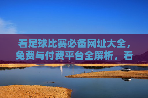 看足球比赛必备网址大全，免费与付费平台全解析，看足球比赛必备，免费与付费平台网址大全全解析