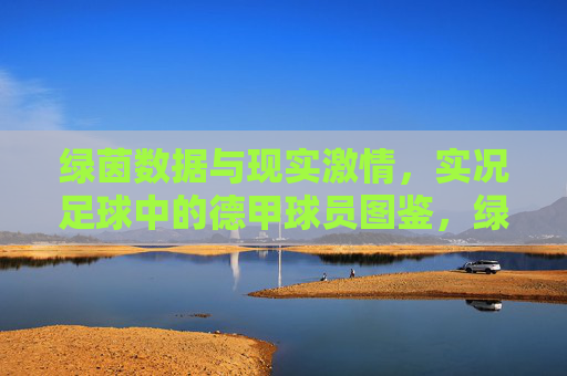 绿茵数据与现实激情，实况足球中的德甲球员图鉴，绿茵数据与现实激情，实况足球德甲球员图鉴