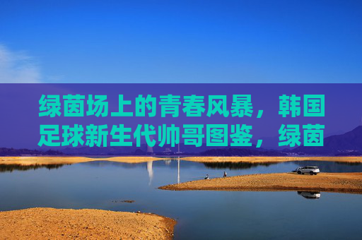 绿茵场上的青春风暴，韩国足球新生代帅哥图鉴，绿茵青春风暴，韩国足球新生代帅哥图鉴