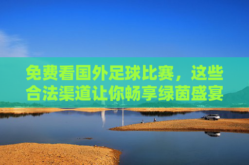 免费看国外足球比赛，这些合法渠道让你畅享绿茵盛宴，免费合法看国外足球，畅享绿茵盛宴