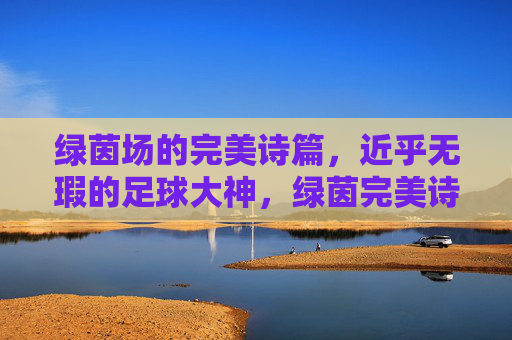 绿茵场的完美诗篇，近乎无瑕的足球大神，绿茵完美诗篇，无瑕足球大神