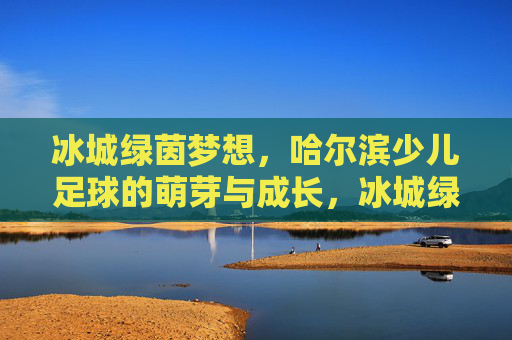 冰城绿茵梦想,哈尔滨少儿足球的萌芽与成长,冰城绿茵梦想,哈尔滨少儿足球的萌芽与成长 冰城绿茵梦想,哈尔滨少儿足球的萌芽与成长,冰城绿茵梦想,哈尔滨少儿足球的萌芽与成长