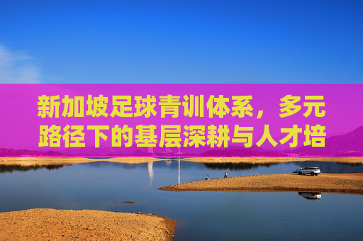 新加坡足球青训体系，多元路径下的基层深耕与人才培育，新加坡足球青训体系，多元路径下的基层深耕与人才培育