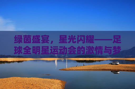 绿茵盛宴，星光闪耀——足球全明星运动会的激情与梦想