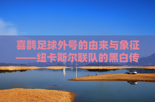 喜鹊足球外号的由来与象征——纽卡斯尔联队的黑白传奇，喜鹊外号的由来与象征，纽卡斯尔联队的黑白传奇