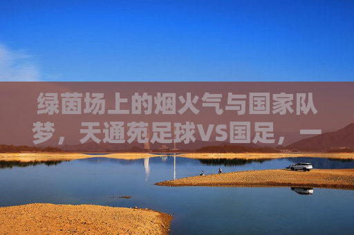 绿茵场上的烟火气与国家队梦，天通苑足球VS国足，一场关于热爱的对话，烟火气与国家队梦，天通苑足球与国足的热爱对话