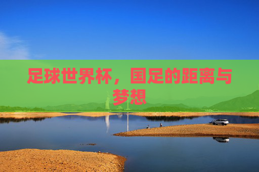 足球世界杯，国足的距离与梦想