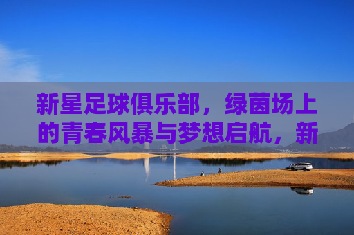 新星足球俱乐部，绿茵场上的青春风暴与梦想启航，新星足球俱乐部，绿茵青春风暴，梦想扬帆启航