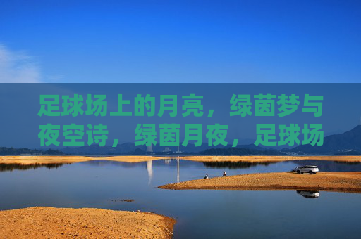 足球场上的月亮，绿茵梦与夜空诗，绿茵月夜，足球场的诗与梦