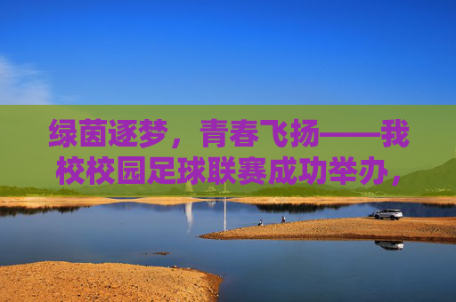 绿茵逐梦，青春飞扬——我校校园足球联赛成功举办，绿茵逐梦，青春飞扬——我校校园足球联赛成功举办