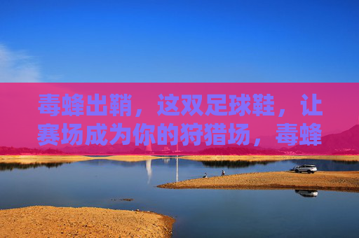 毒蜂出鞘，这双足球鞋，让赛场成为你的狩猎场，毒蜂出鞘，赛场即狩猎场